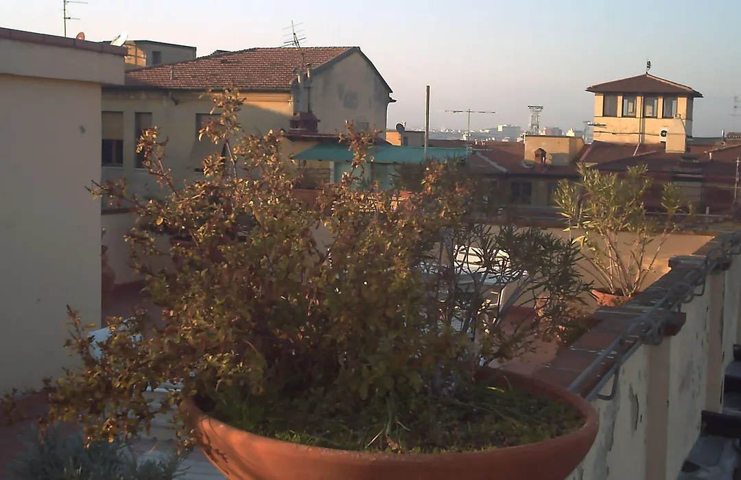 Hotel Annabella Roof Terrace-1
